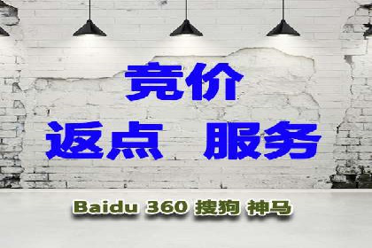 百度广告投放技巧与案例分享